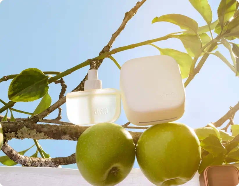 Home Scent Diffuser Refill- Day Break