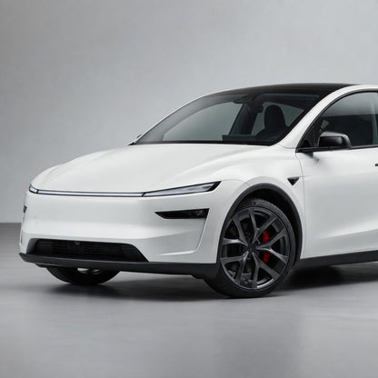 21'' Arachnid 2.0 Rim Protectors for Tesla Model Y Juniper Performance | Tesery