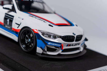 Car's Lounge 1:18 BMW M4 GT4 EVO (2 Versions)