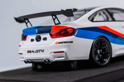 Car's Lounge 1:18 BMW M4 GT4 EVO (2 Versions)