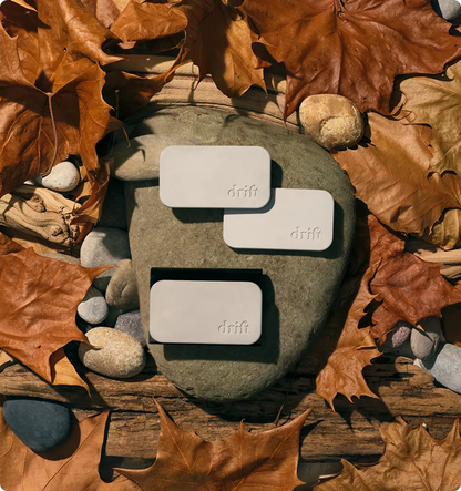 Limited Drop: Fall Vibes