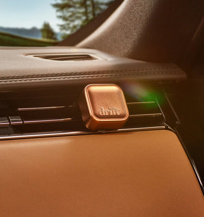 Metal Car Freshener Scent of the Month