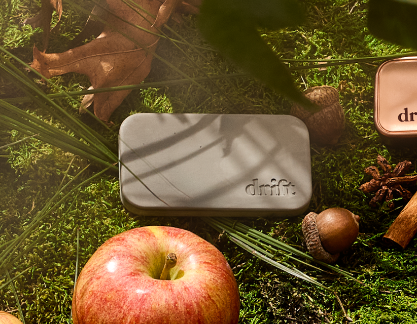 Apple Picking Stone Car Freshener Refill