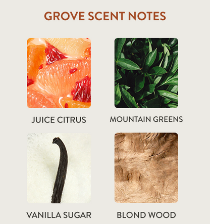 Home Scent Diffuser Starter Kit - Grove