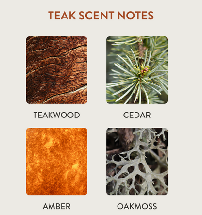 Home Scent Diffuser Starter Kit - Teak