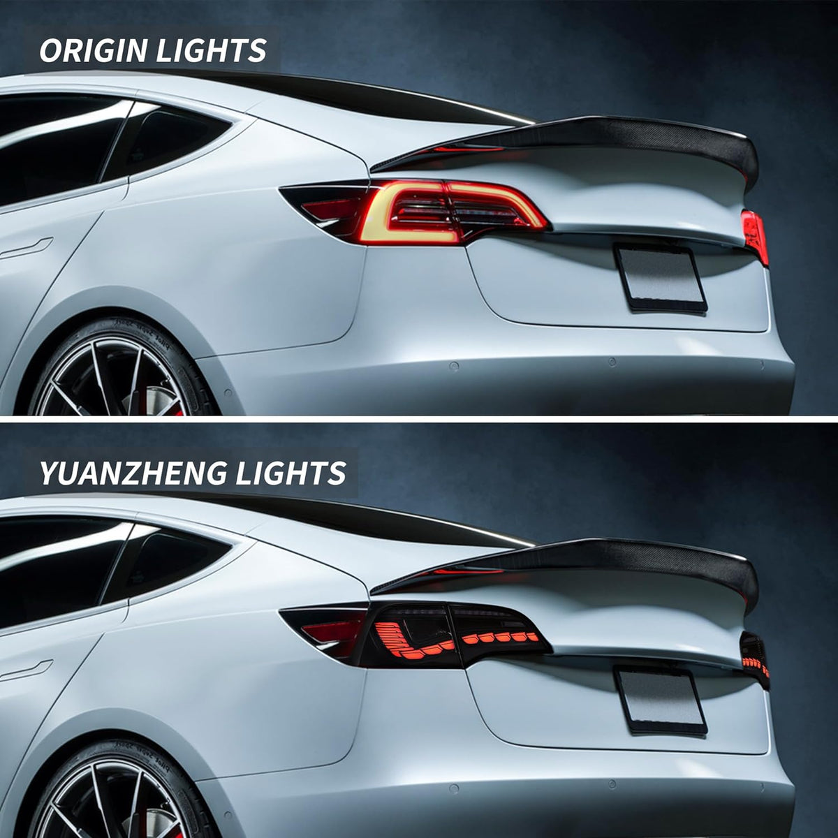 TESERY Dragon Scale Tail Lights for Model 3/Y
