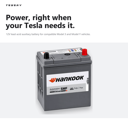 Tesla OEM 12V Lead-Acid Battery 1129182-00-B for Tesla Model 3/Y